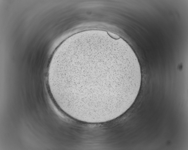X0000114691523200912021033