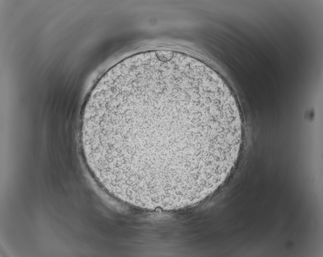 X0000114691525200912021033