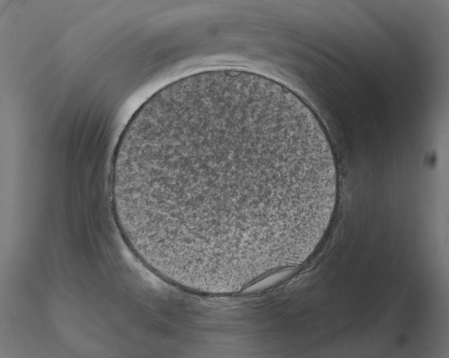 X0000114691527200912021033