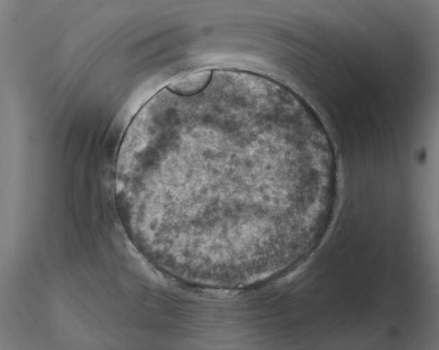 X0000114691529200912021033