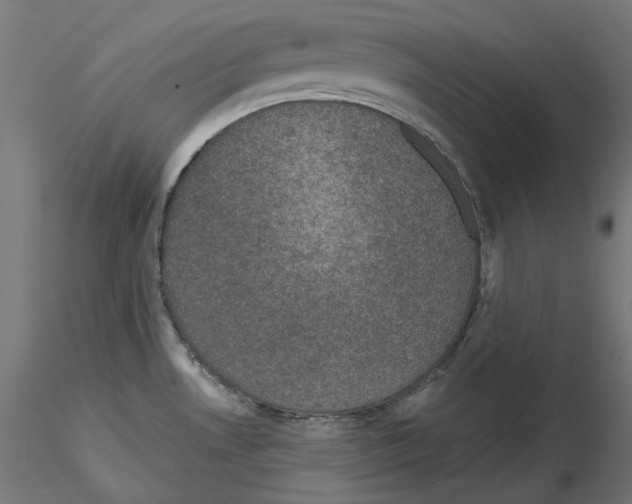 X0000114691530200912021033