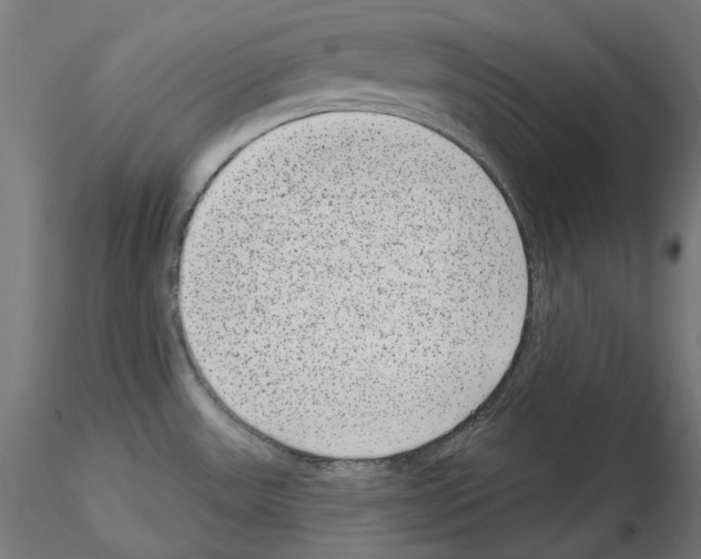 X0000114691531200912021033
