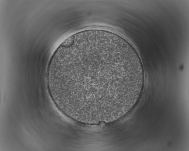 X0000114691533200912021033