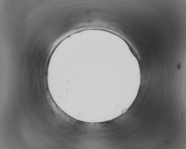 X0000114691534200912021033