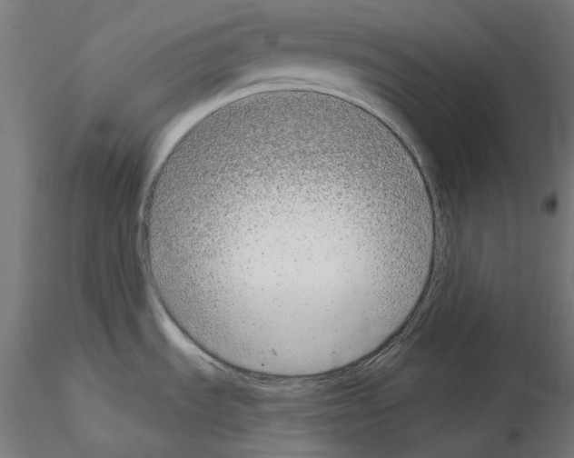 X0000114691535200912021033