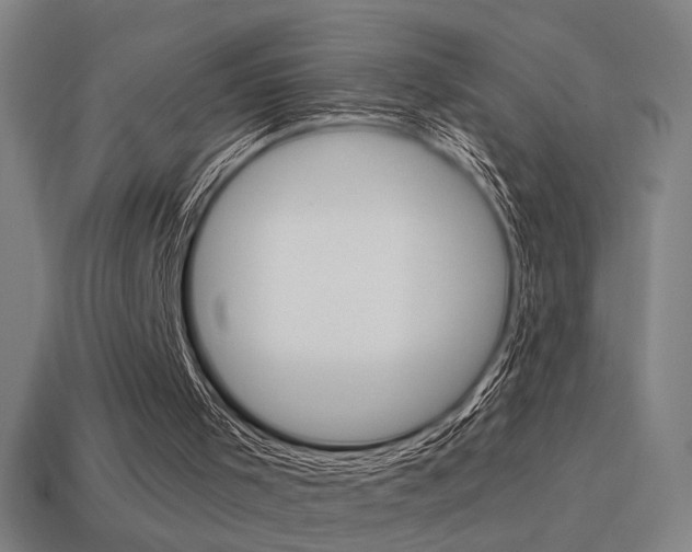 X0000114700001200910211019