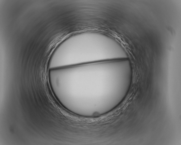 X0000114700002200910211019