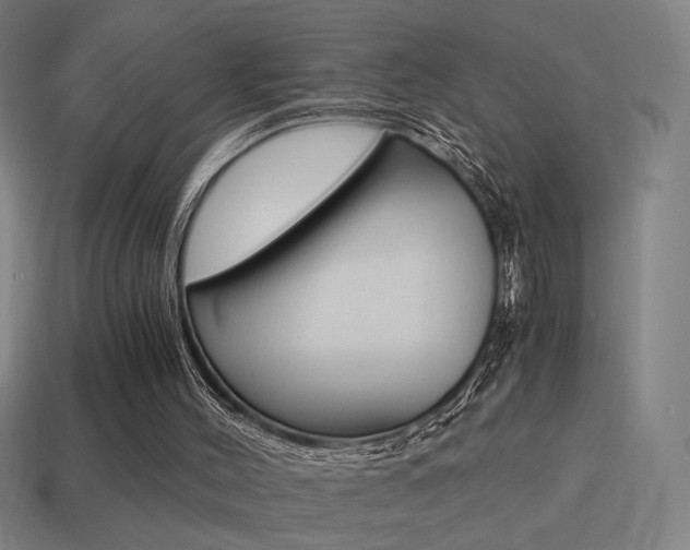 X0000114700004200910211019