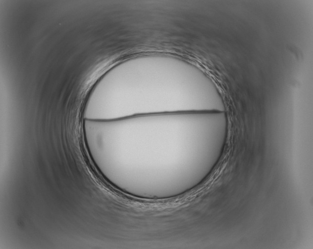 X0000114700005200910211019