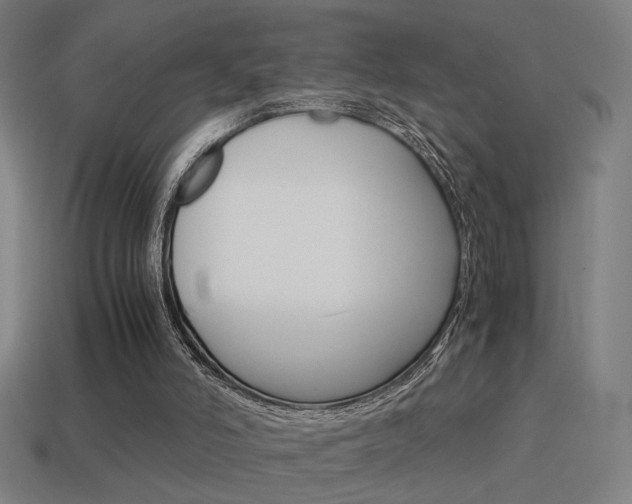 X0000114700006200910211019