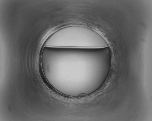 X0000114700007200910211019