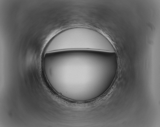 X0000114700008200910211019