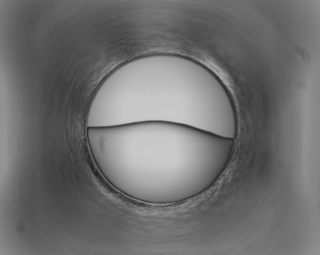 X0000114700009200910211019