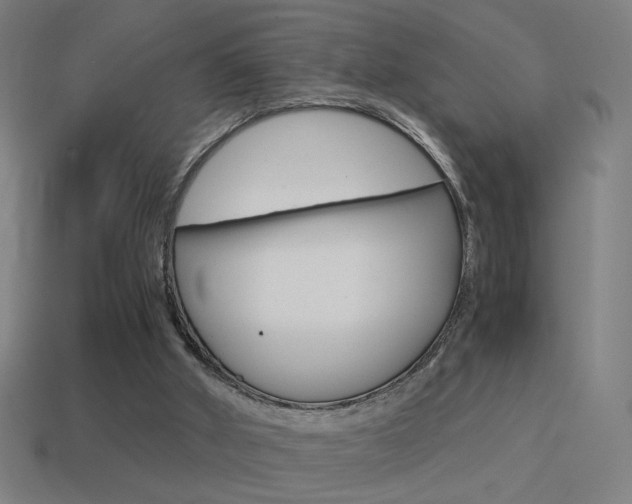 X0000114700010200910211019