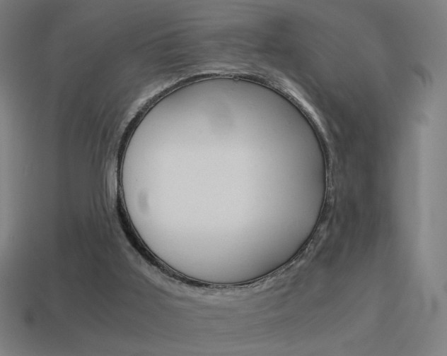 X0000114700011200910211019