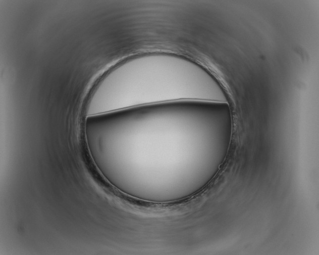 X0000114700012200910211019