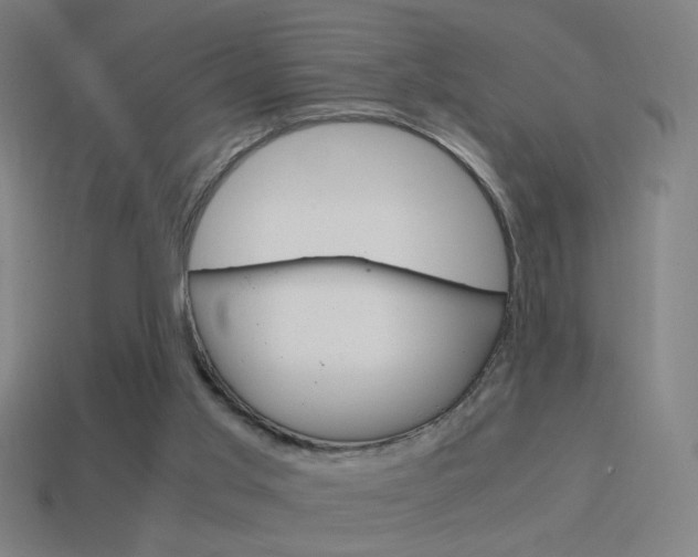 X0000114700013200910211019