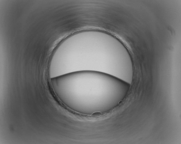 X0000114700015200910211019