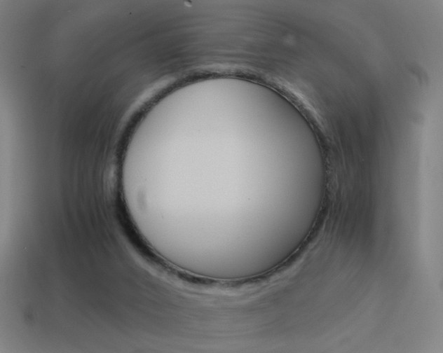 X0000114700016200910211019