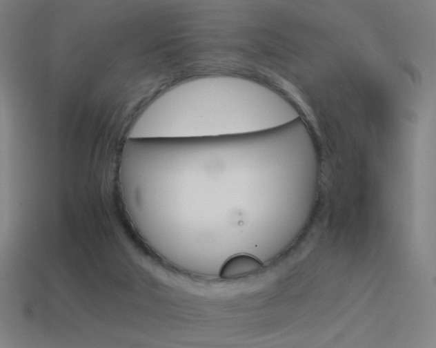 X0000114700018200910211019