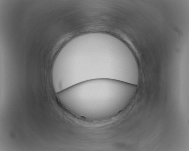 X0000114700019200910211019