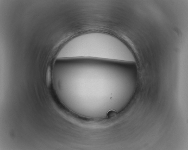 X0000114700020200910211019