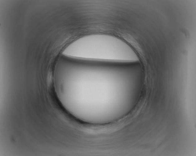 X0000114700021200910211019