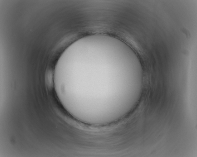 X0000114700022200910211019