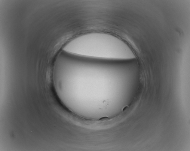 X0000114700023200910211019