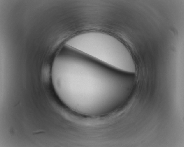 X0000114700024200910211019