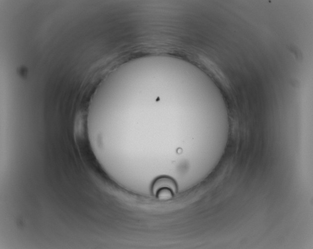 X0000114700026200910211019