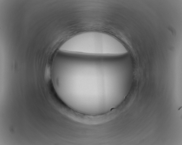 X0000114700027200910211019