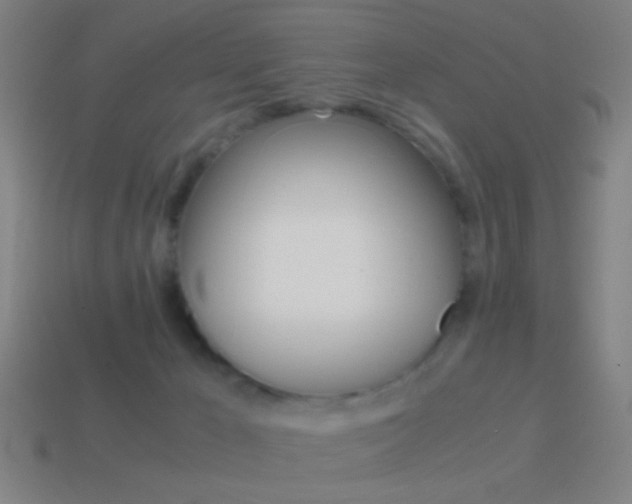 X0000114700029200910211019