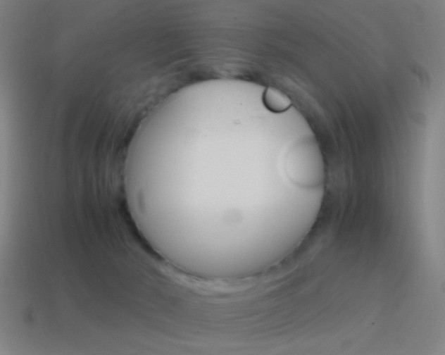 X0000114700030200910211019