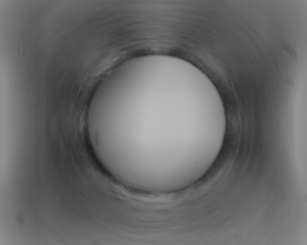 X0000114700032200910211019