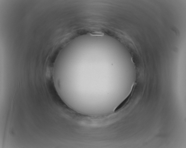 X0000114700033200910211019