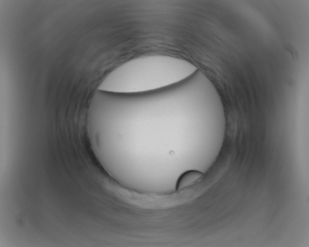 X0000114700034200910211019