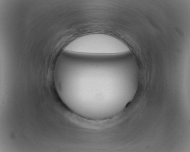 X0000114700035200910211019