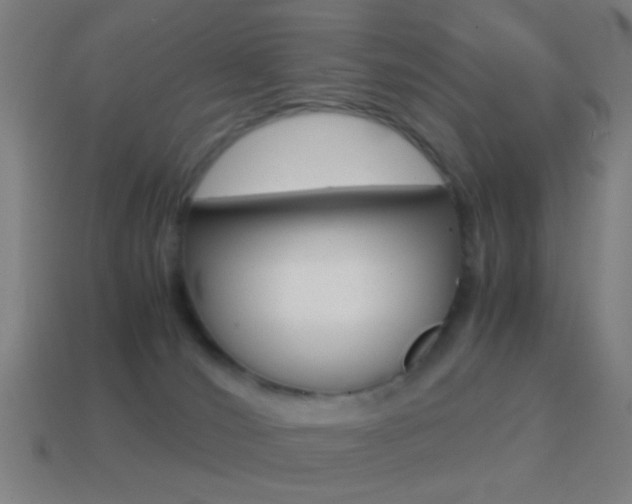 X0000114700036200910211019