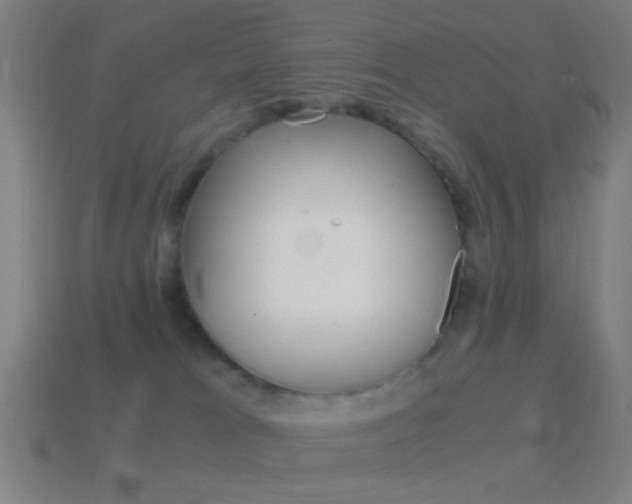 X0000114700037200910211019