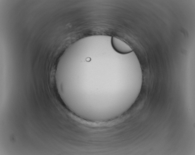 X0000114700038200910211019