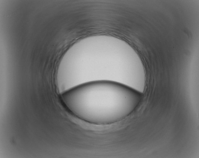 X0000114700039200910211019