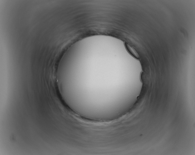 X0000114700040200910211019