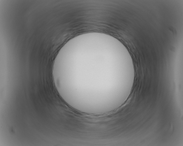 X0000114700041200910211019