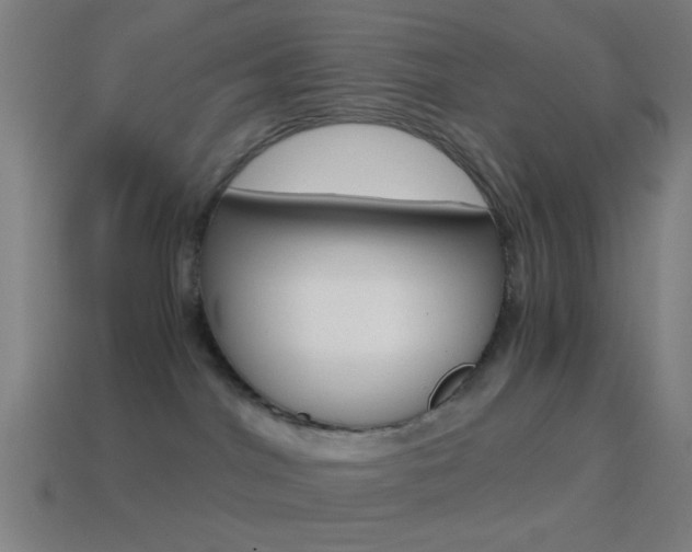 X0000114700044200910211019