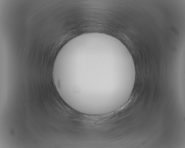 X0000114700045200910211019