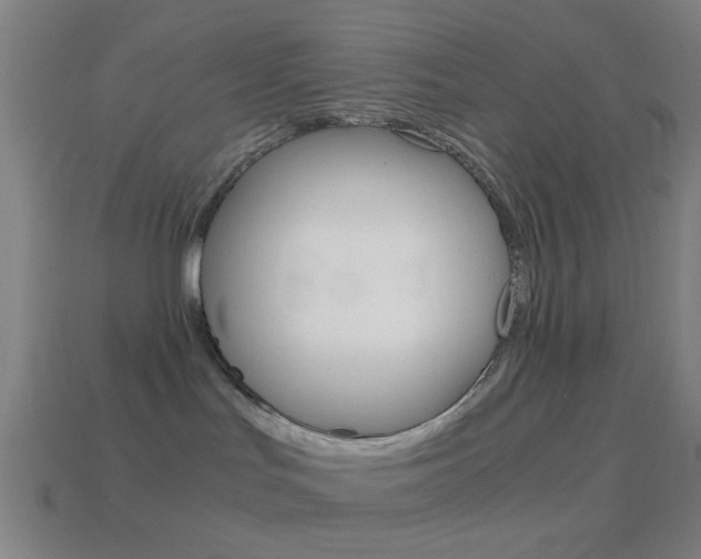 X0000114700047200910211019