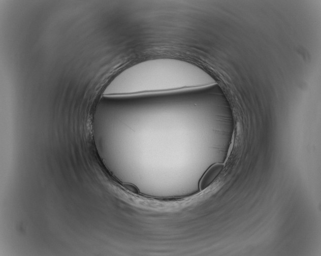 X0000114700048200910211019