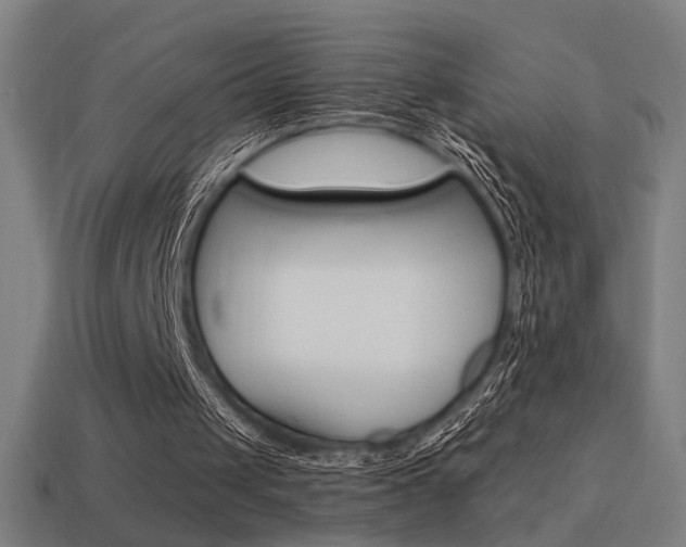 X0000114700049200910211018