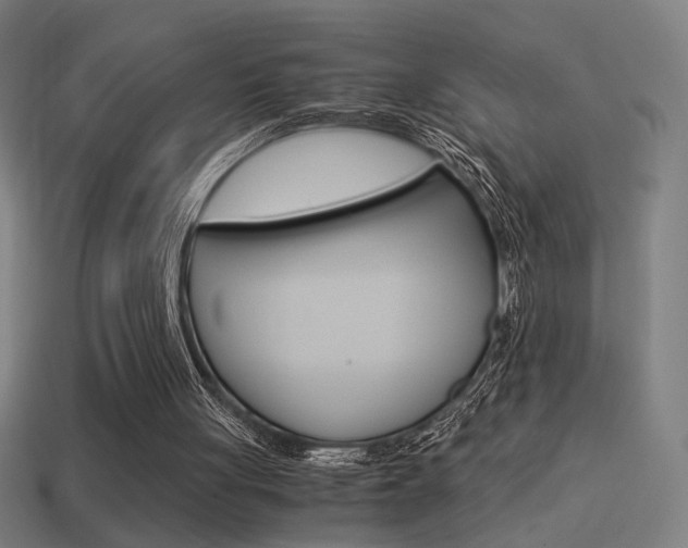 X0000114700051200910211018